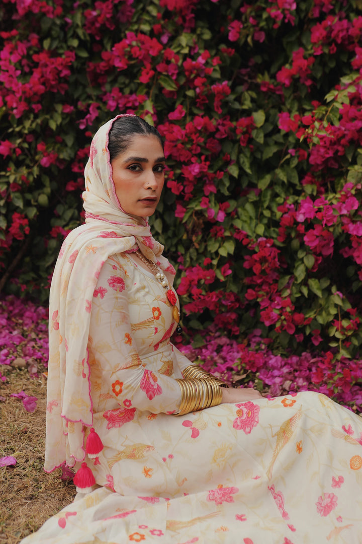 Vani Verma in the HASNA ANARKALI SET
